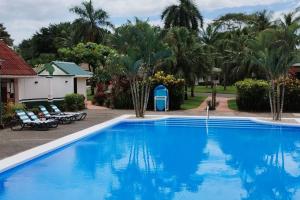 a large blue swimming pool in a yard with palm trees at Splendide villa avec piscine à 200m de l'océan. in Parrita