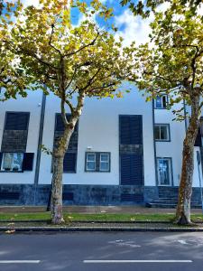 twee bomen aan de zijkant van een straat voor een gebouw bij Beach & Surf in Ribeira Grande