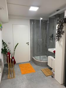 baño con ducha y puerta de ducha de cristal en Privatzimmer 500 m zur Messe München, en Haar