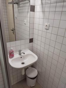 Koupelna v ubytování Hotel Formanka