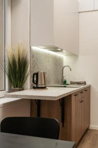 eine Küche mit einer Spüle und einem Wasserkocher auf der Theke in der Unterkunft Air Apartment 211 in Vilnius
