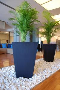two large black pots with plants in a lobby at Sea Art Hotel in Vado Ligure