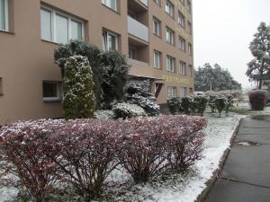 un jardín cubierto de nieve frente a un edificio en Hotel Milotel en Olomouc