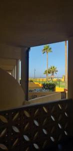 - Balcón con vistas a una palmera en Apartamento Urb La Tortuga I, en Tarifa