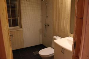 a bathroom with a toilet and a shower and a sink at Gålå Fjellhytte - cabin with sauna and whirlpool tub in Sør-Fron +12 photos