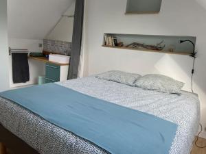 a bedroom with a bed with a blue blanket at Appartement à l'étage de notre maison in Rochecorbon