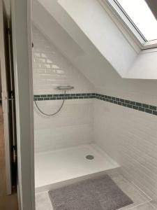 a white bathroom with a shower with a sink at Appartement à l'étage de notre maison in Rochecorbon