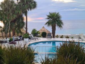 basen z palmami i oceanem w obiekcie Blue Emerald on Blue Bay Beach w mieście Blue Bay