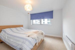 a bedroom with a bed and a blue window at Location, Location, Location with King Size Bed in Kent