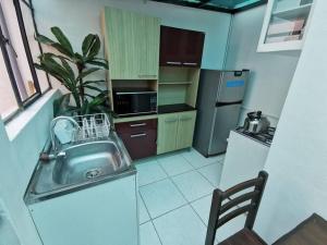 a kitchen with a sink and a potted plant at Acogedor departamento in Santa Rosa