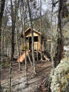 una cabaña de madera en medio de un bosque en Zorro Azul - Corazón de la Isla - Tierra del Fuego en Tolhuin