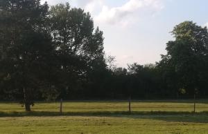 Príroda v okolí dovolenkového domu