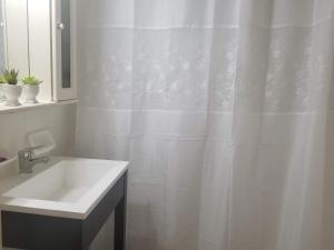 baño con lavabo y cortina de ducha blanca en Italo Apt en Buenos Aires