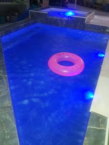 un frisbee rojo en una piscina de agua azul en Residencial Toca Coruja - Armação - Florianópolis, en Florianópolis