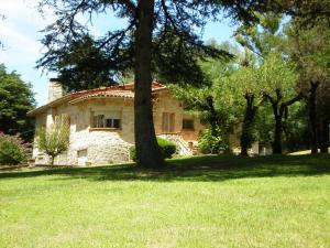 una casa de piedra con un árbol en el patio en La Gitana en Casa Grande
