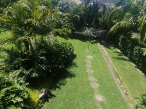 an aerial view of a lawn with palm trees at Sapphire Beach Pet Friendly Beach 5 minute walk in Sapphire Beach