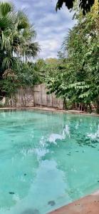 una piscina de agua azul junto a una playa en Cabañas Pájaro Azul, 