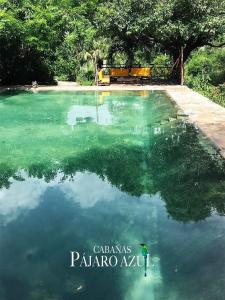 een zwembad van groen water met bomen op de achtergrond bij Cabañas Pájaro Azul 