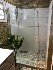 Vannituba majutusasutuses Chalet Colibri , Les ANSES d'ARLET 200 m plage