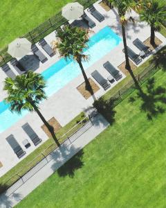an overhead view of a pool with chairs and palm trees at Jackson Ranch by Bannisters in Bawley Point
