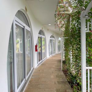 Fotografie z fotogalerie ubytování Homestay Tulip Garden Bảo Lộc v destinaci Bao Loc