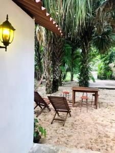 un grupo de bancos y una mesa de picnic en un patio en Cabañas Pájaro Azul, 