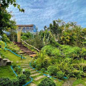 Zahrada ubytování Homestay Tulip Garden Bảo Lộc