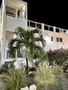 a palm tree in front of a white building at Maho Beach House - Spacious 1 Bedroom Suite in Maho Reef