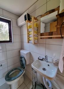 een kleine badkamer met een toilet en een wastafel bij Vikendica Mihic in Zvornik