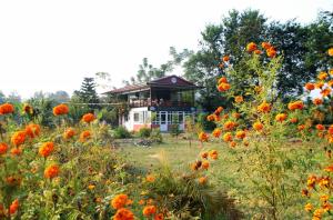 a house in the middle of a field of flowers at The Glasshouse Hotel in Kawasoti