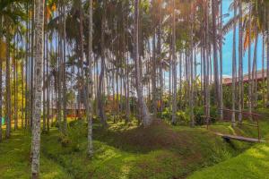 Giardino di StayVista at Firefly By The River with Breakfast