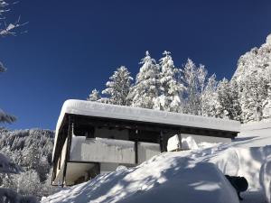 un bâtiment recouvert de neige avec des arbres en arrière-plan dans l'établissement Bike 'n' Board Lodge Brandnertal, à Brand