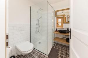 a bathroom with a toilet and a glass shower at Hiša na soncu / Sun house in Zgornje Gorje