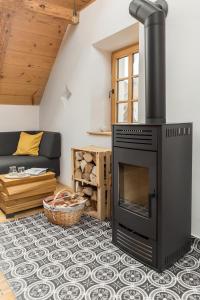 sala de estar con chimenea y sofá en Hiša na soncu / Sun house, en Zgornje Gorje