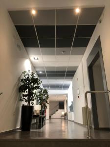 Vstupní hala nebo recepce v ubytování Albergue Inturjoven Cazorla