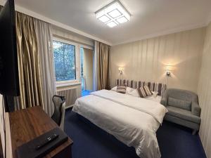 Hotel Austria في غابلتز: غرفه فندقيه بسرير وكرسي