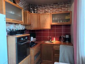 Kuchyňa alebo kuchynka v ubytovaní Skaistakalnio apartamentai