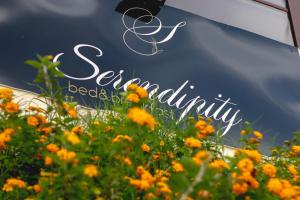 una señal para la casa de huéspedes de la playa de aaniaoriaoria con flores en Serendipity B&B en Messina