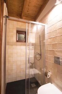 a bathroom with a glass shower with a toilet at Casa Rural El Mantillo in Hermigua