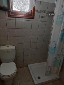 La salle de bains est pourvue d'une douche et de toilettes. dans l'établissement Villa George, à vieille ville d'Alonissos