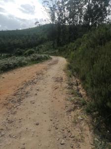 Gallery image of Knysna Tranquil 3 Bedroom Cabin in Knysna