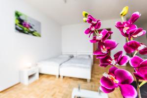 Work & Stay Apartment Monheim في مونهيم: مزهرية مليئة بالورود الأرجوانية في غرفة المعيشة