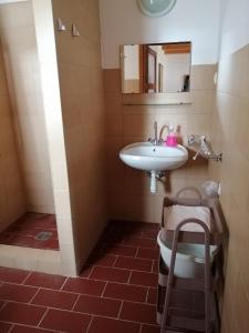a bathroom with a sink and a toilet at Martonvendeghaz 1 in Erdeimajor