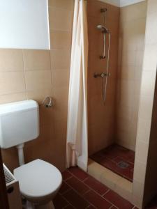 a bathroom with a toilet and a shower at Martonvendeghaz 1 in Erdeimajor