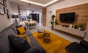 sala de estar con sofá y TV en FAMILY RESORT SUBOTICA Apartments, en Subotica