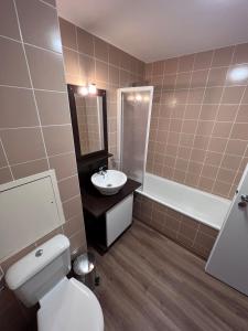 La salle de bains est pourvue de toilettes blanches et d'un lavabo. dans l'établissement Studio Le Panoramic les Balcons d'Aix, à La Féclaz
