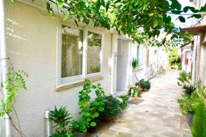 a walkway in front of a house with plants at Templar Guesthouse in Famagusta