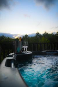 a swimming pool with a blender on top of it at Newmore Highland Pods with Hot Tubs on NC500 in Invergordon