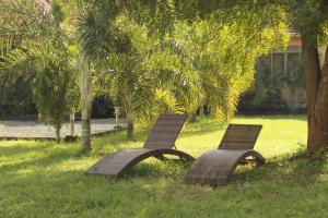due panche sedute nell'erba in un parco di Terezina Guest House and Homes Pakwach a Pakwach East