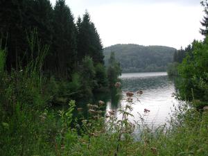 a view of a lake with trees and water at Hotel Meyer in Kürten